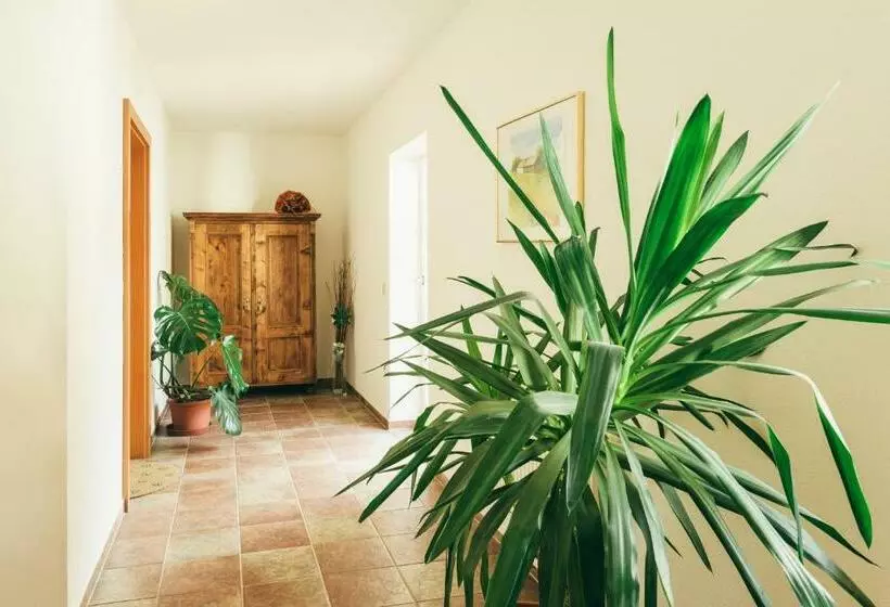 Majatalo Gästezimmer Sengstschmid