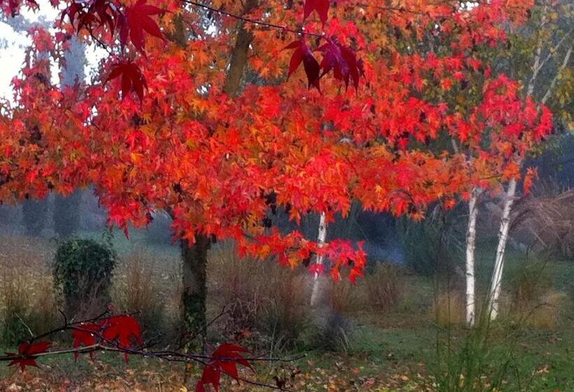 膳宿费 La Maison & L Atelier