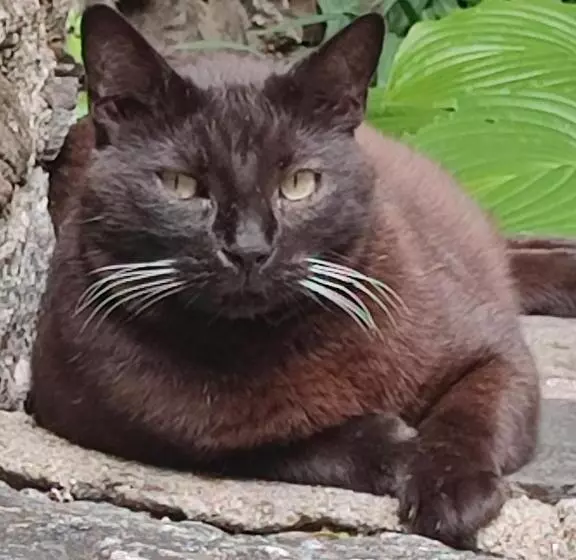 ペンション Le Mas De Ribard