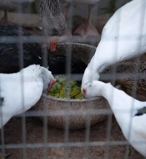 Majatalo Safa Boulaouane