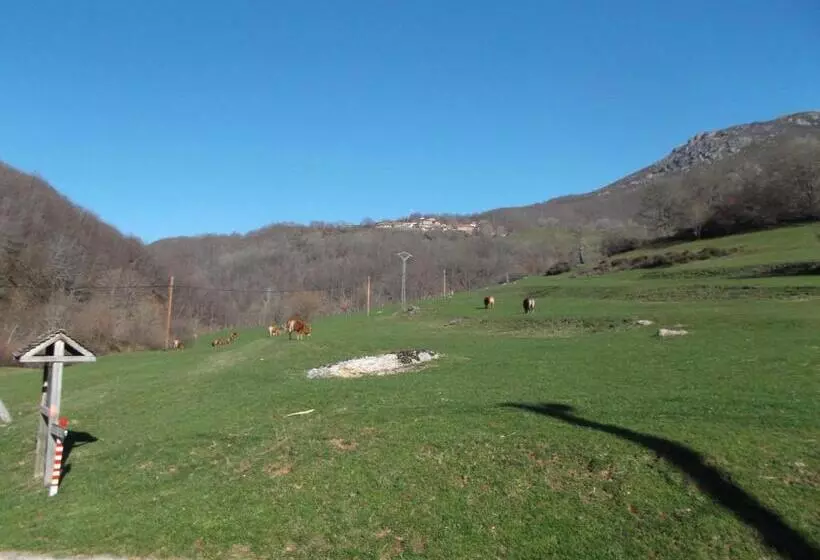 ユースホステル Posada Casa Molleda