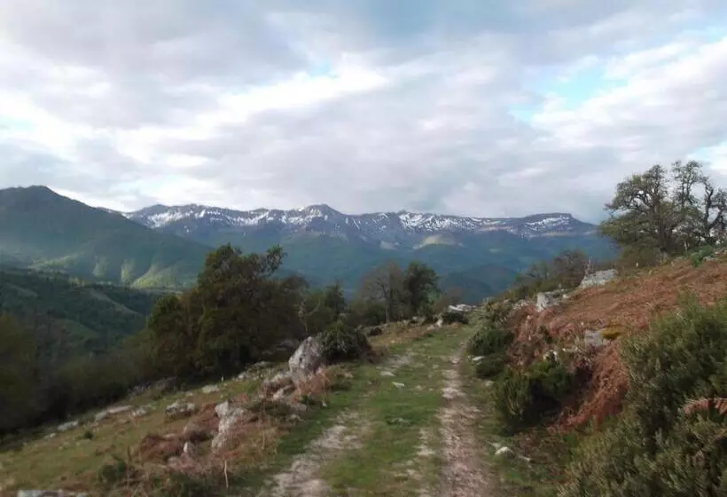 ユースホステル Posada Casa Molleda