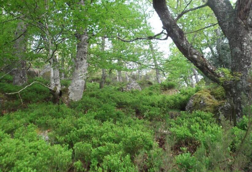 호스텔 Posada Casa Molleda