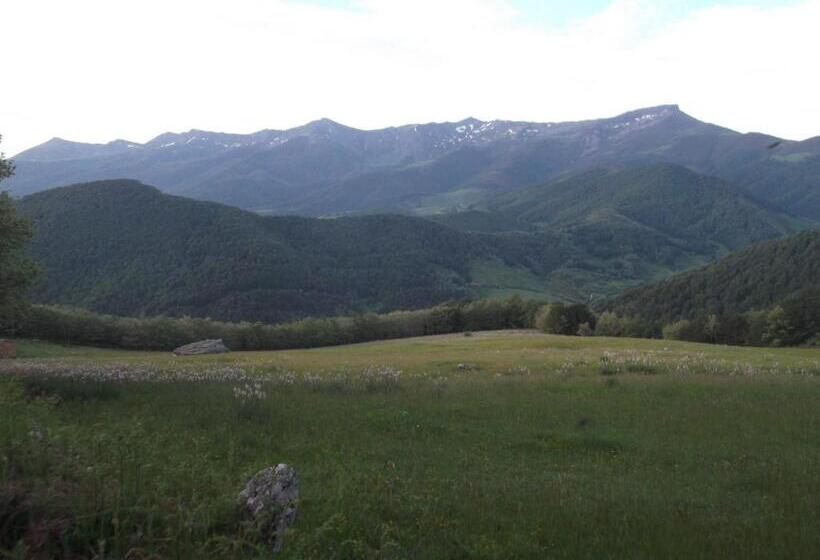 호스텔 Posada Casa Molleda