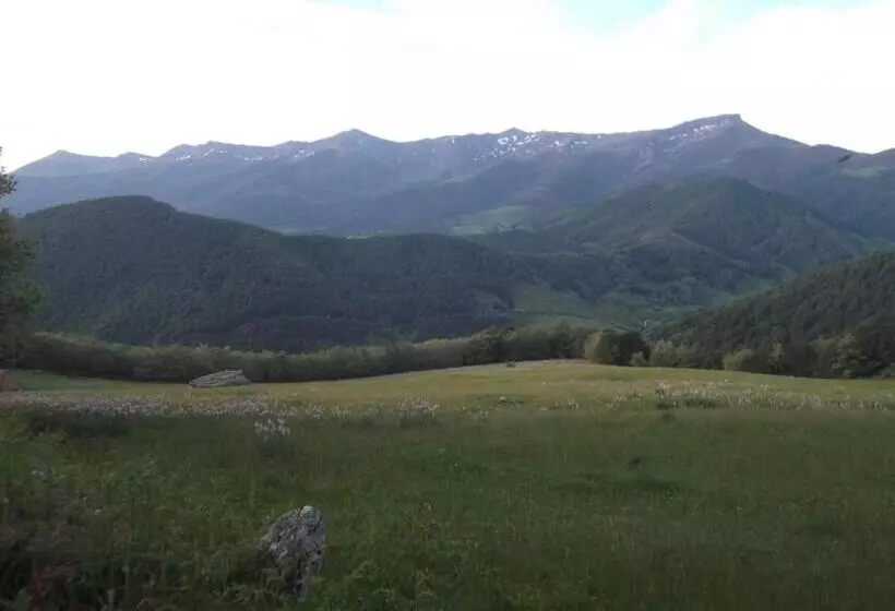 ユースホステル Posada Casa Molleda