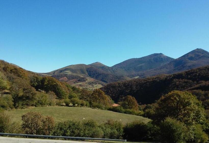 호스텔 Posada Casa Molleda