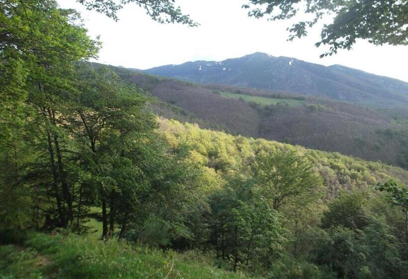 호스텔 Posada Casa Molleda