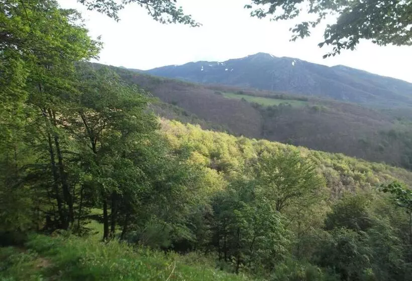 ユースホステル Posada Casa Molleda