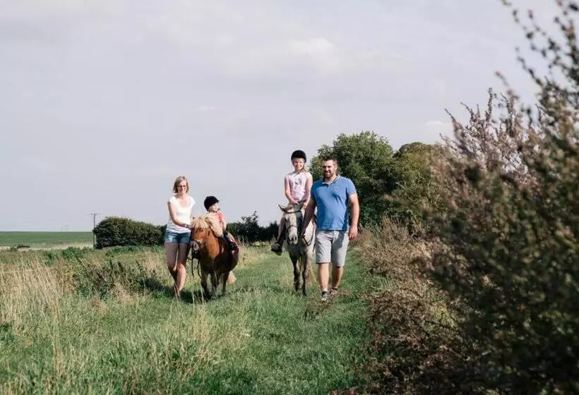 ベッドアンドブレックファースト Ferme De L Abbaye