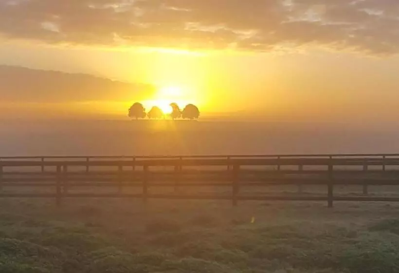 ベッドアンドブレックファースト Ferme De L Abbaye