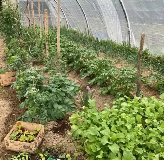 Aamiaismajoitus (B&B) L Intemporelle