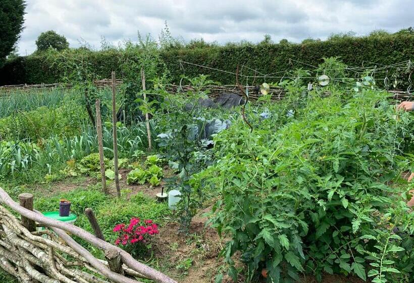 ベッドアンドブレックファースト L Intemporelle