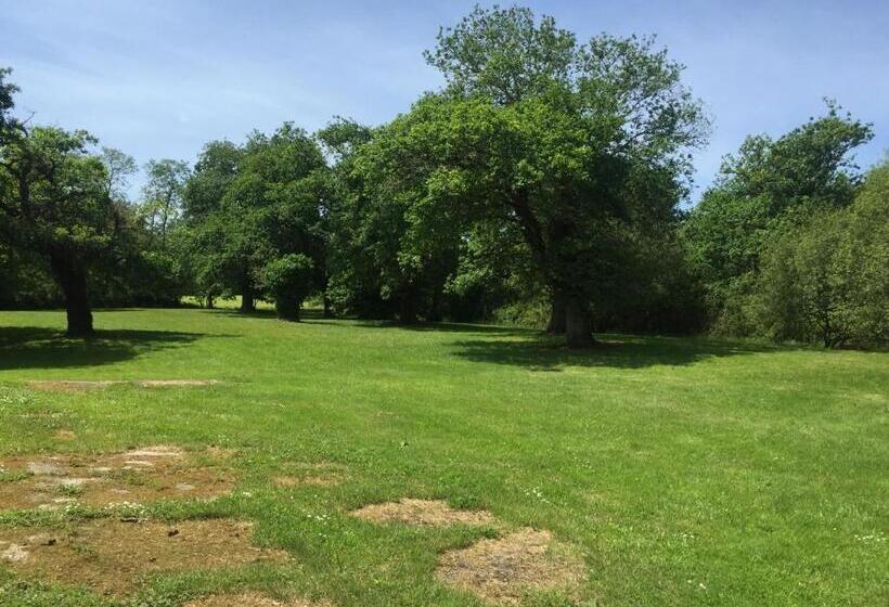 ベッドアンドブレックファースト L Intemporelle