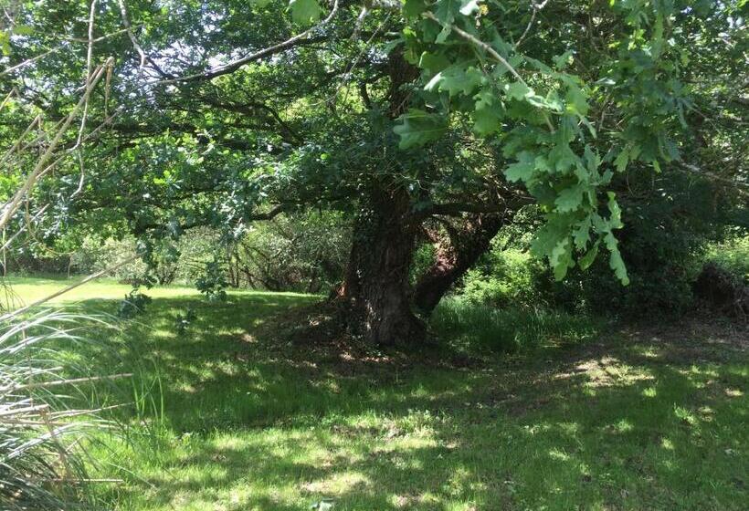 ベッドアンドブレックファースト L Intemporelle