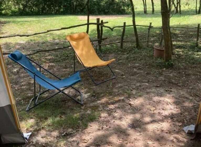 ベッドアンドブレックファースト L Intemporelle