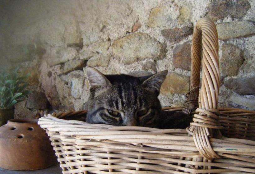 צימר Le Clos Goëlle