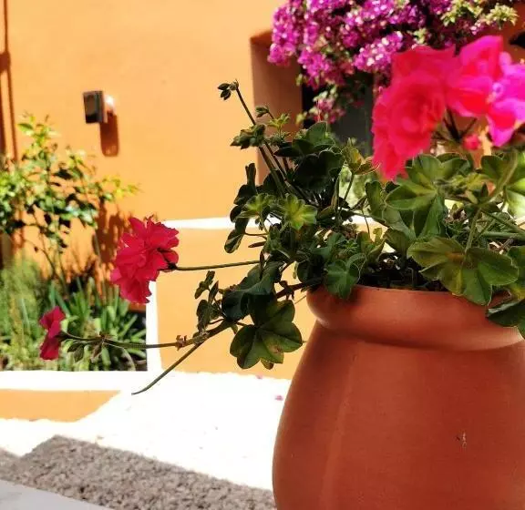 Aamiaismajoitus (B&B) Mountainhome Casa Cancelinha