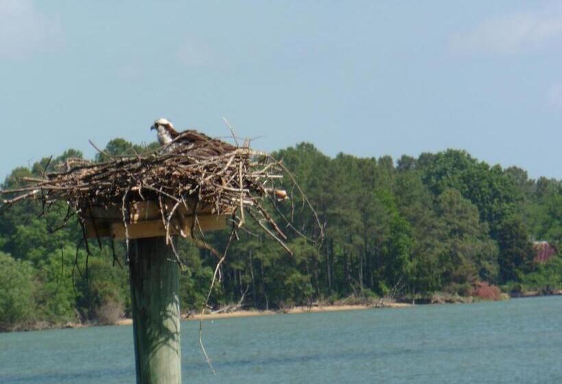 Bed and Breakfast Swanendele Inn