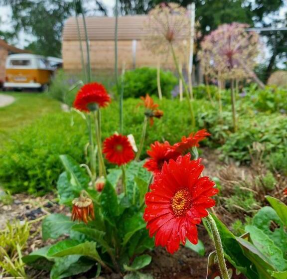 مبيت وإفطار Vakantiewoning Victors Hof Tot 4 Pers