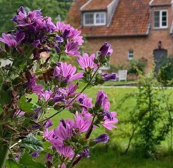 Aamiaismajoitus (B&B) Vakantiewoning Victors Hof Tot 4 Pers