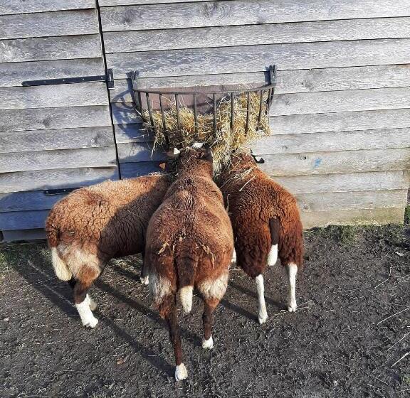 مبيت وإفطار Vakantiewoning Victors Hof Tot 4 Pers