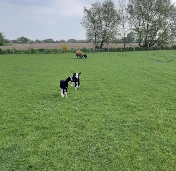 مبيت وإفطار Vakantiewoning Victors Hof Tot 4 Pers