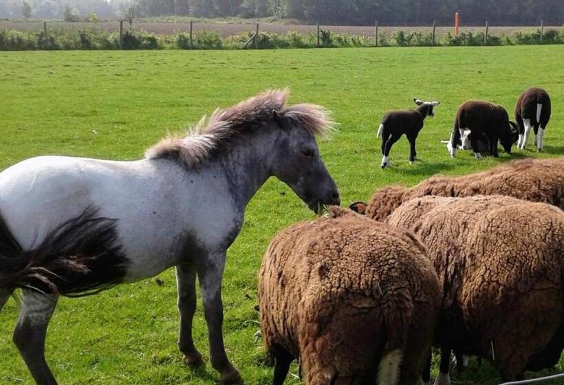 مبيت وإفطار Vakantiewoning Victors Hof Tot 4 Pers