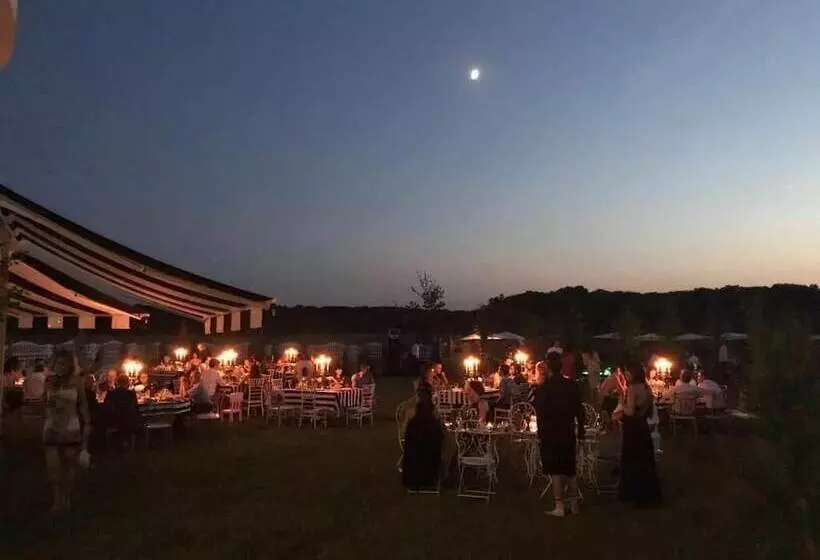 Aamiaismajoitus (B&B) Youness Wellness Clinic & Retreats