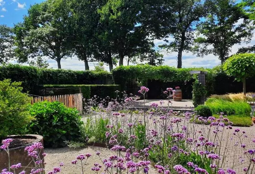 Bed & Breakfast De Stippelberg