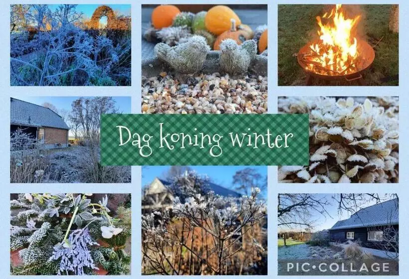 Bed & Breakfast De Stippelberg