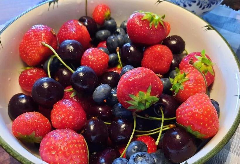 Bed & Breakfast De Stippelberg