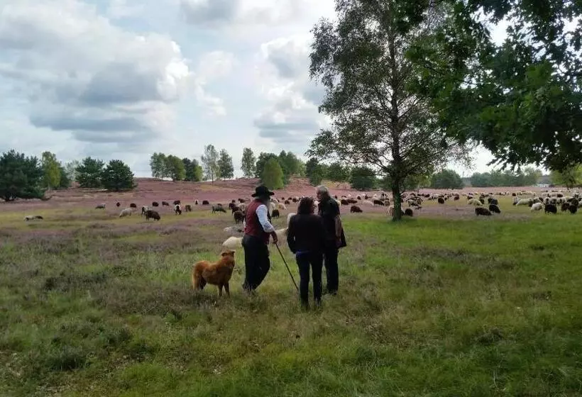 Hotelli Das Deichhaus