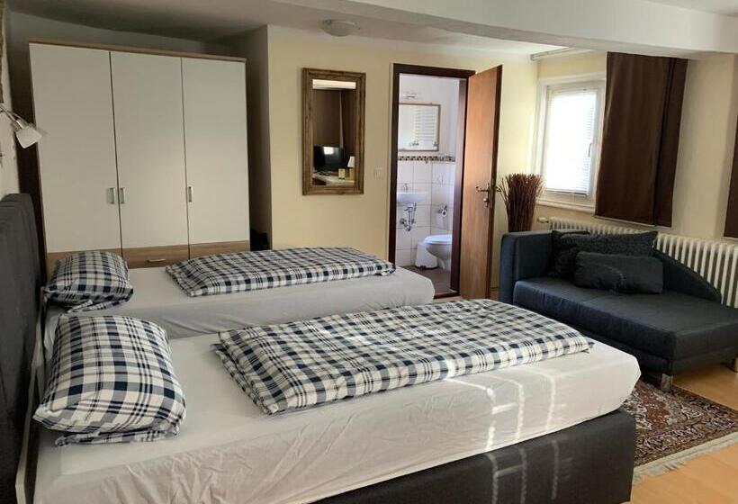 בית מלון כפרי Zum Weißen Ross