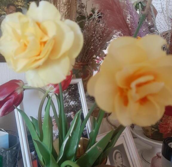 膳宿费 Chambre D Hotes