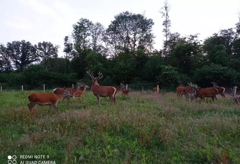 Majatalo Chambre Du Parc élevage Girbal