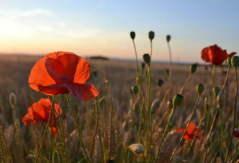 Majatalo Penzion U Maléřa