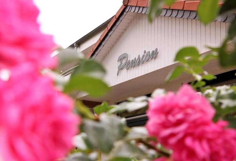 Pension  Zu Den Linden Trin