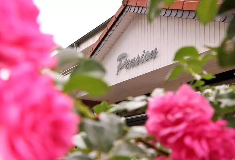 Pension  Zu Den Linden Trin