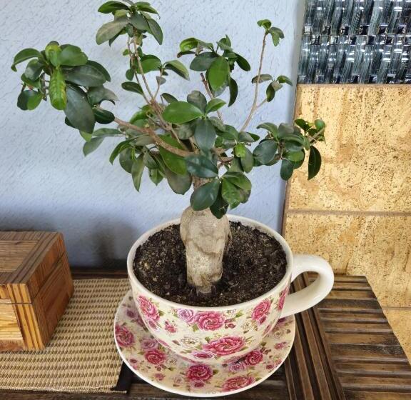 Hotel Red Apple Near Railway Station Chandigarh