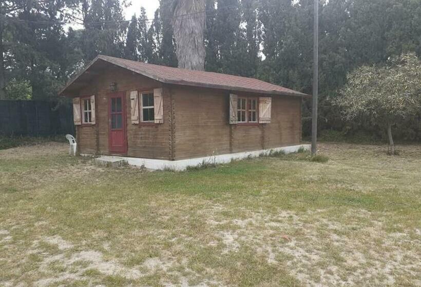 فندق Séjour Au Milieu Des Chevaux