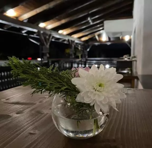 Majatalo Livada Bucovinei