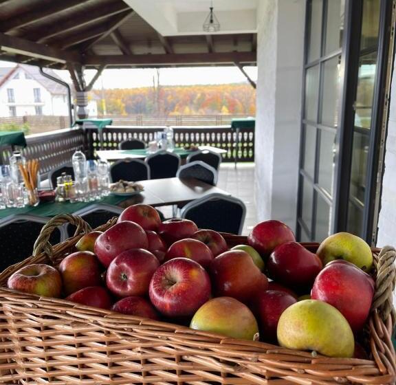 ペンション Livada Bucovinei