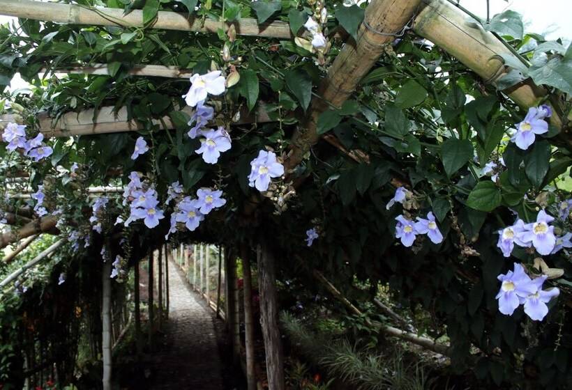 هتل Cabañas Y Flores