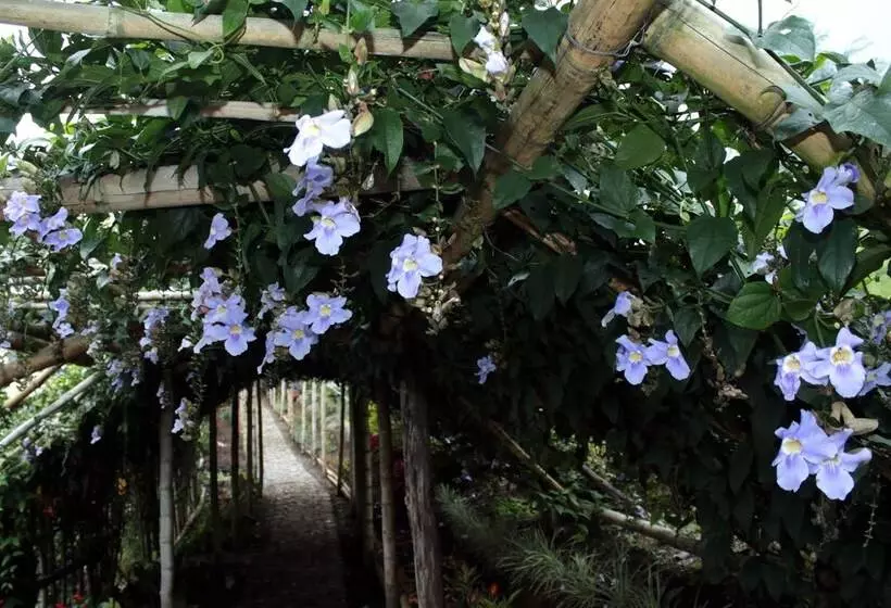 ホテル Cabañas Y Flores