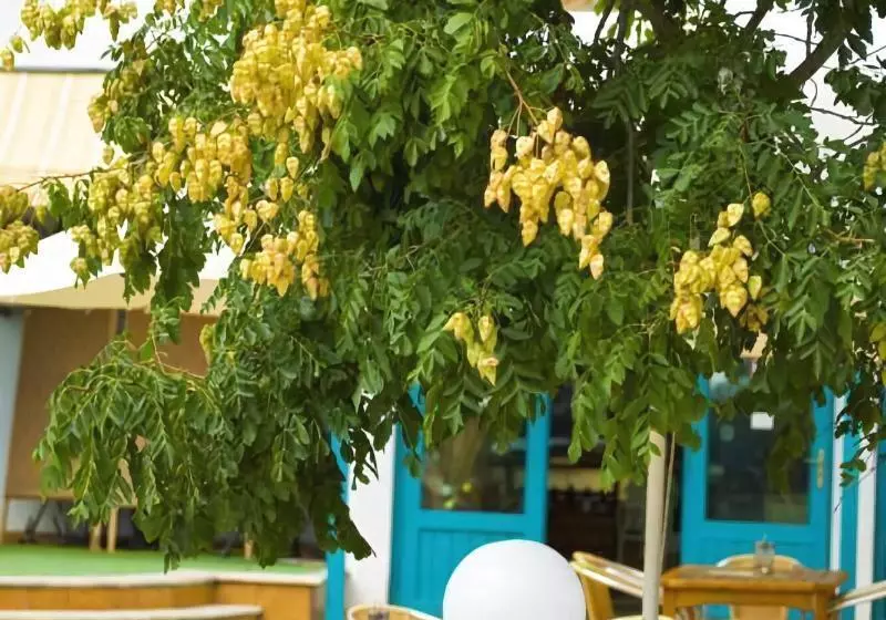 Hotel Kaliopa