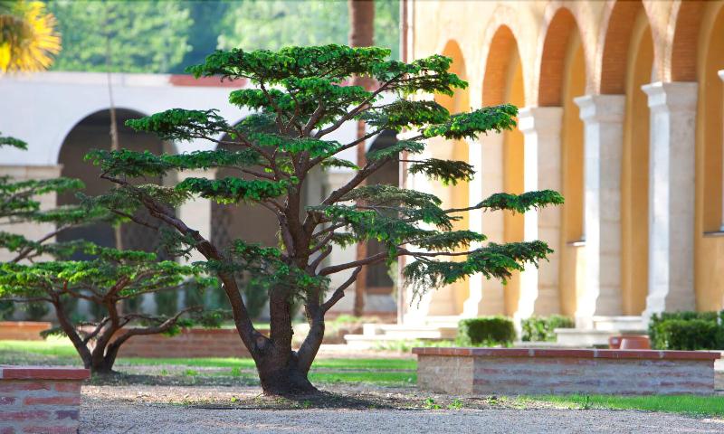 בית מלון כפרי La Bastide En Gascogne