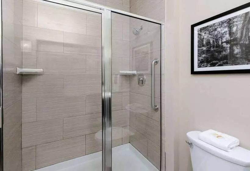 فندق La Quinta By Wyndham Tyler University Area