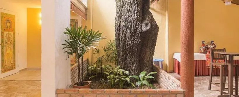 Отель Pousada Villa Boa Vista