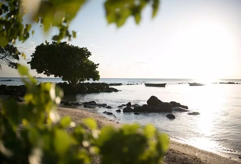 Mystik Life Style By Newmark