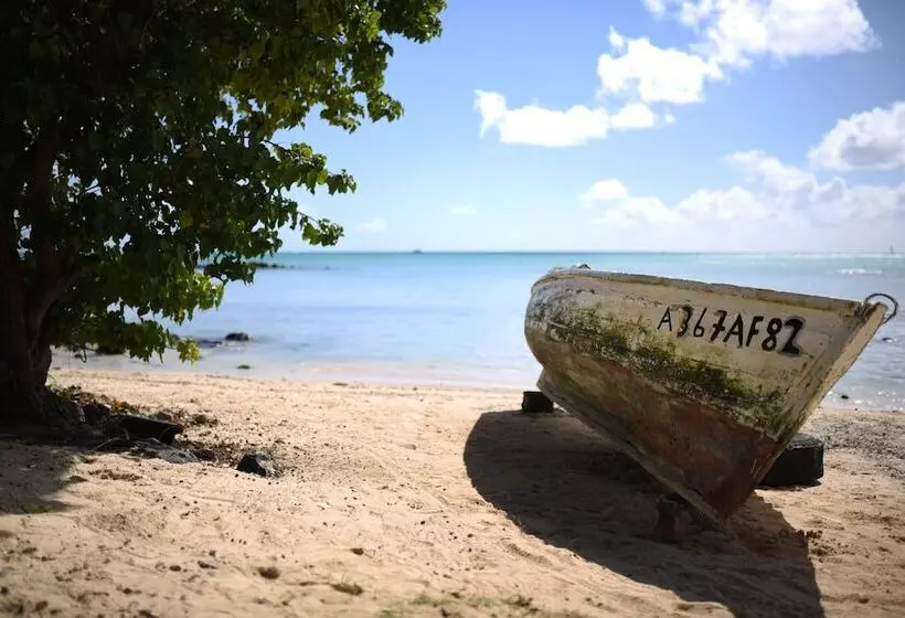 Mystik Life Style By Newmark